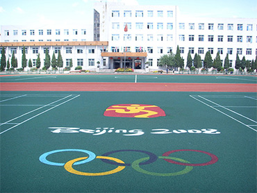 沈陽中辰體育場地程有限公司其他產品展示三